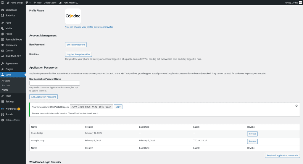 Screenshot of an application password generated for a user in the WordPress admin page.